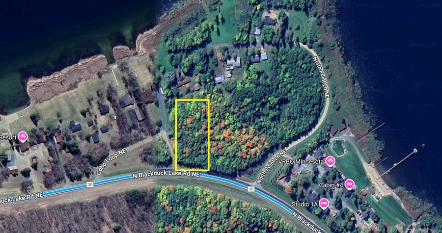 tbd COHO Loop N Blackduck Lake Road Ne, Hines, MN 56647 - Image #3