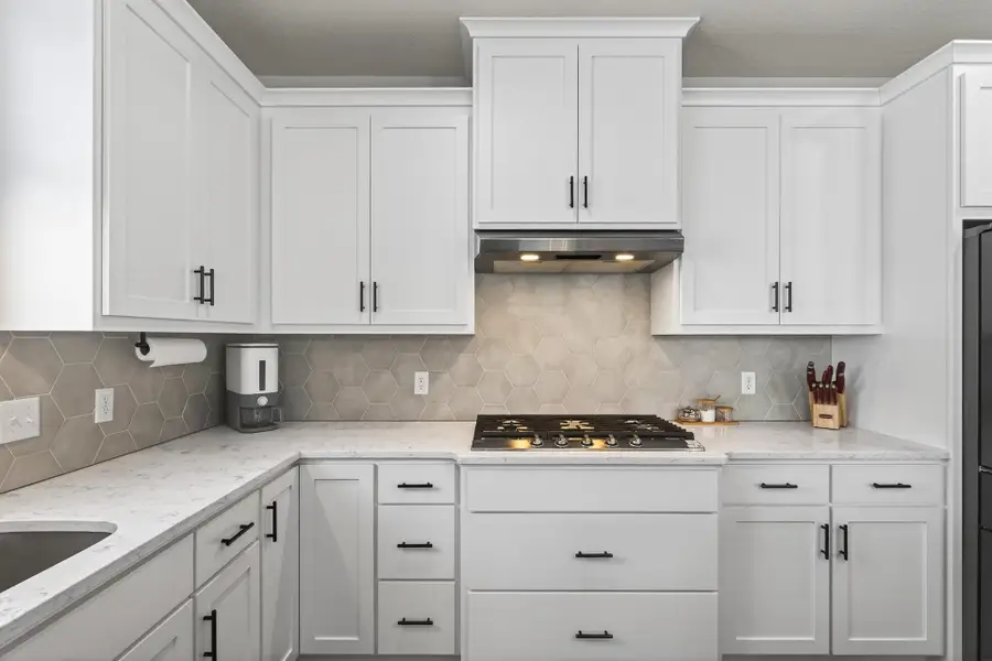 6352 Red Cedar Drive, Chaska, MN 55318 - #3