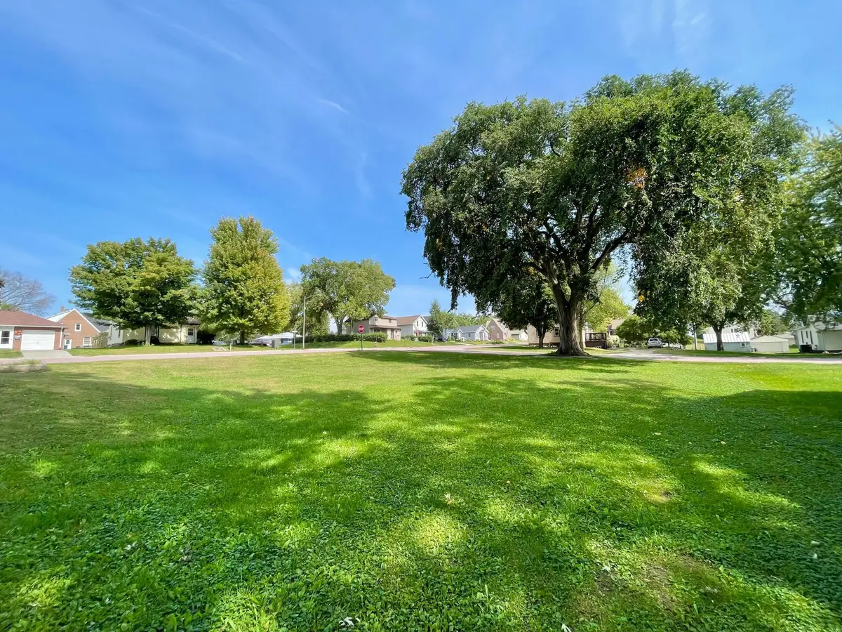 124 N Park Avenue, Springfield, MN 56087 - #1