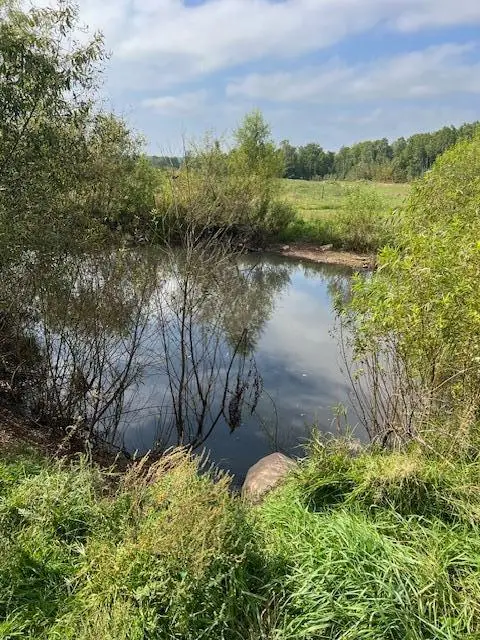 8379 Deer Valley Road, Pine City, MN 55063 - Image #3