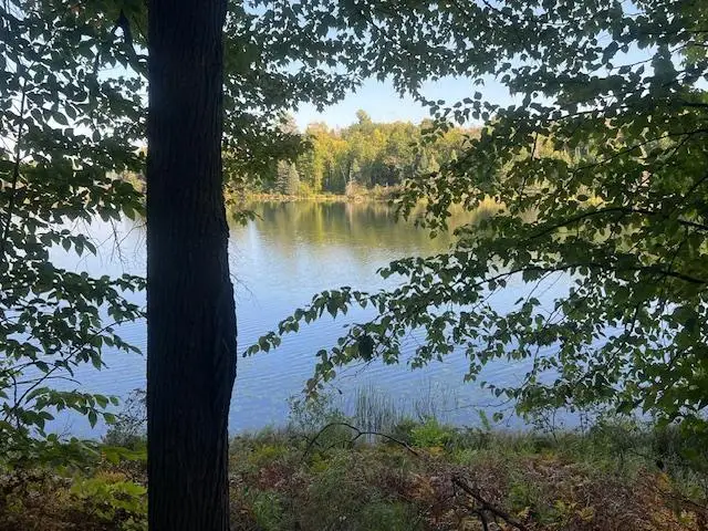 5465 Woods Bay Drive Ne, Outing, MN 56662 - #1