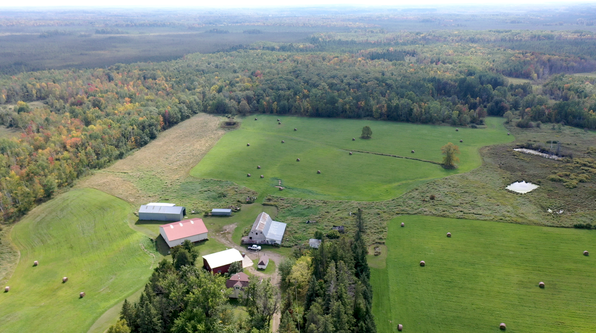 14331 395th Lane, Tamarack, MN 55787 - Image #1