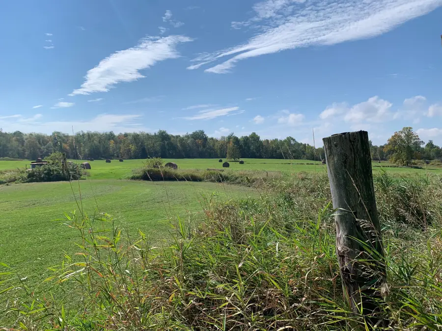 14331 395th Lane, Tamarack, MN 55787 - Image #3