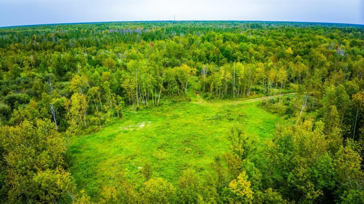 12479 Battle Road Ne, Blackduck, MN 56630 - #1