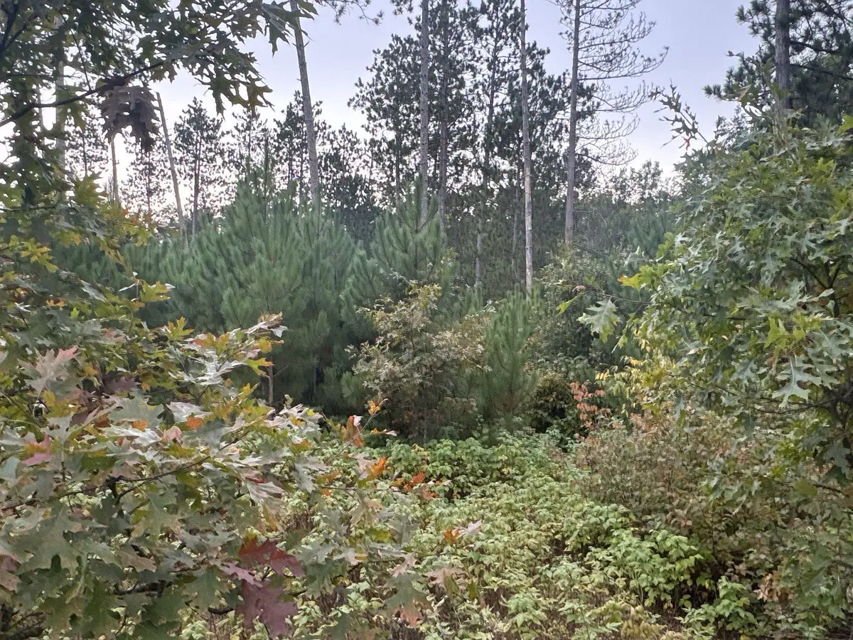 TBD Hayden Lake Road, Danbury, WI 54830 - Image #1