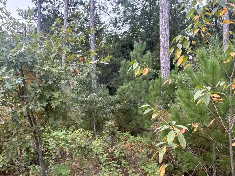 TBD Hayden Lake Road, Danbury, WI 54830 - Image #3