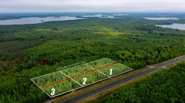 Parcel 3 TBD Hwy 115, Tower, MN 55790