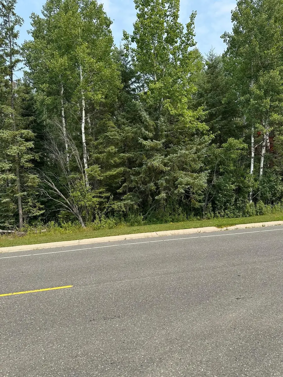TBD 7 Acres County Road 107, International Falls, MN 56649 - #3