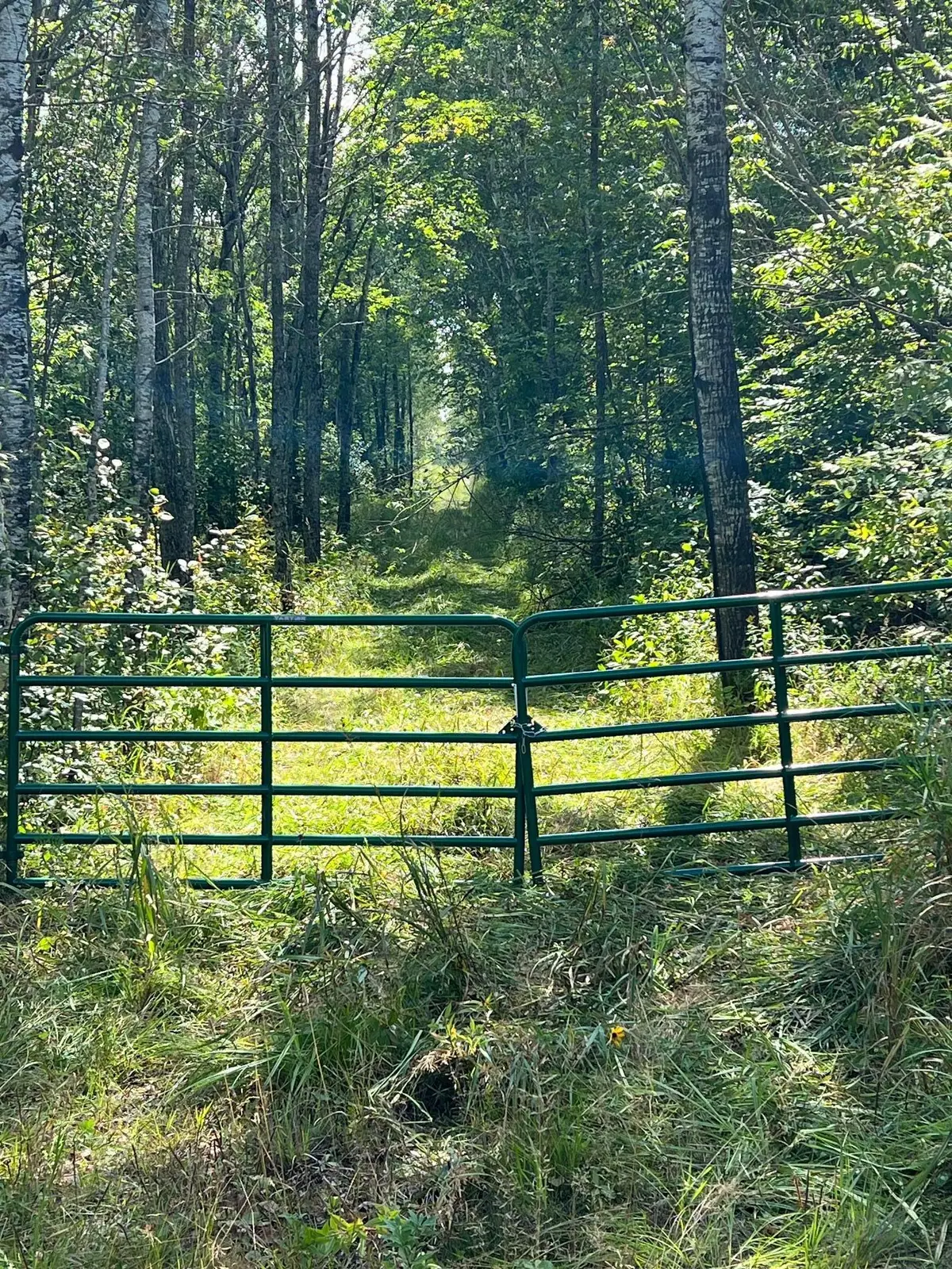 TBD W County Road 3, Kabetogama, MN 56669 - Image #1