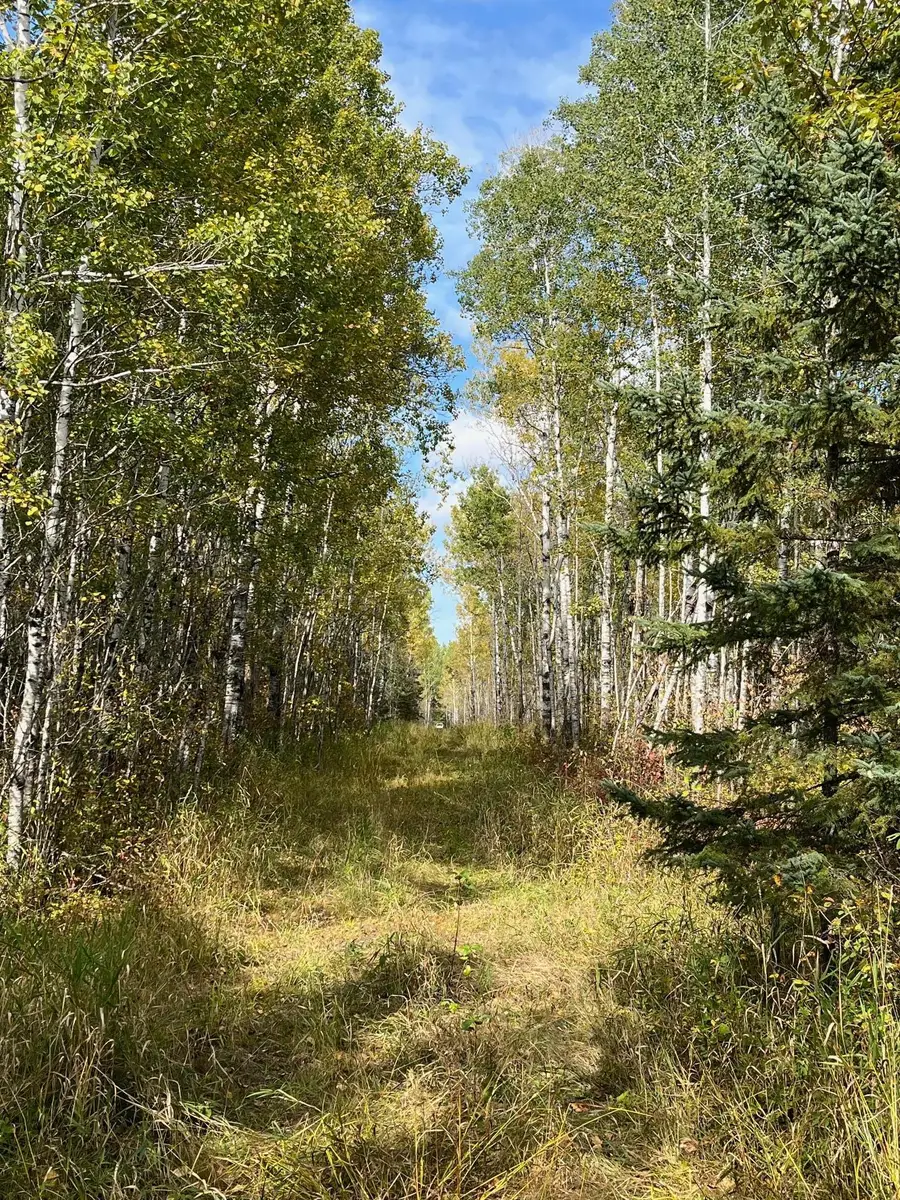 TBD W County Road 3, Kabetogama, MN 56669 - Image #2