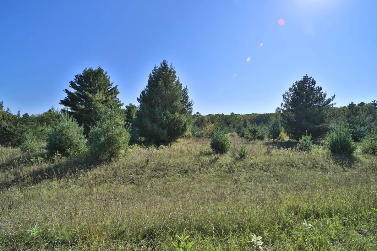 TBD Partridge Court, Browerville, MN 56438 - #1