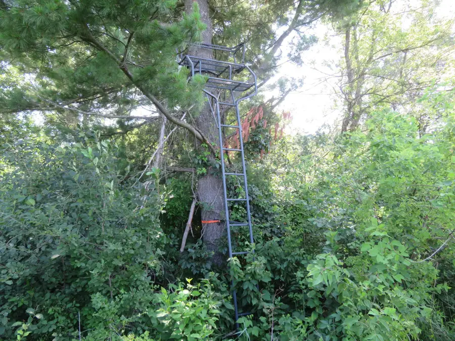 2259B 22nd Street, Rice Lake, WI 54868 - Image #2