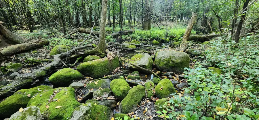 647 Stagecoach Road, Mantorville, MN 55955 - #3