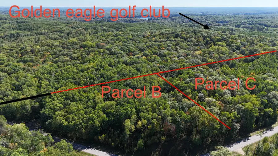 TBD - lot C Kego Lake Road, Fifty Lakes, MN 56448 - #2