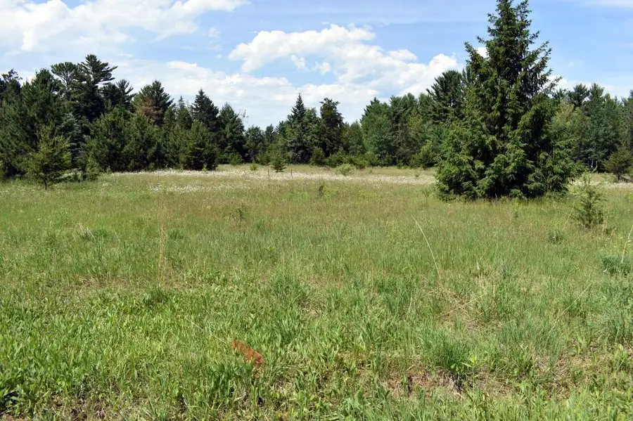 L2 B1 County Road 1, Pine River, MN 56474 - #2