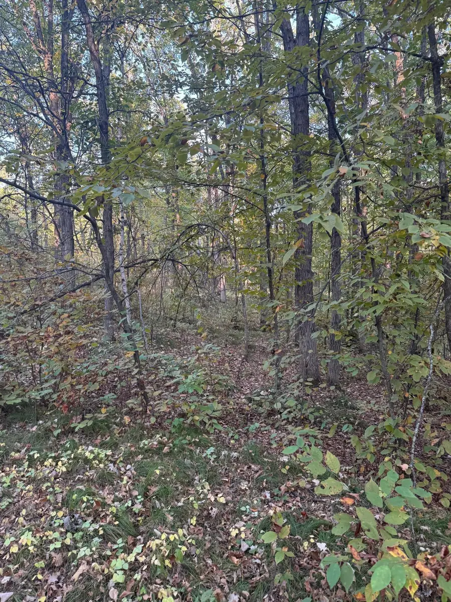 TBD Dell Marie Place, Breezy Point, MN 56472 - Image #2