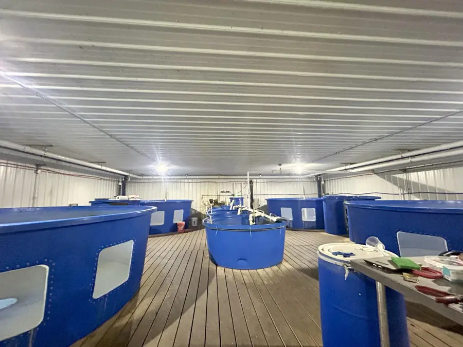 5410 253rd Ave Ne, Stacy, MN 55079 - Image #3