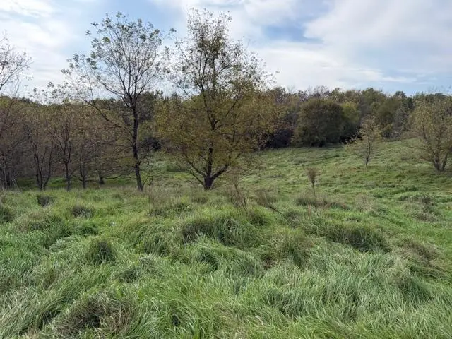 Lot 6 220th Ave, New Richmond, WI 54017 - Image #3