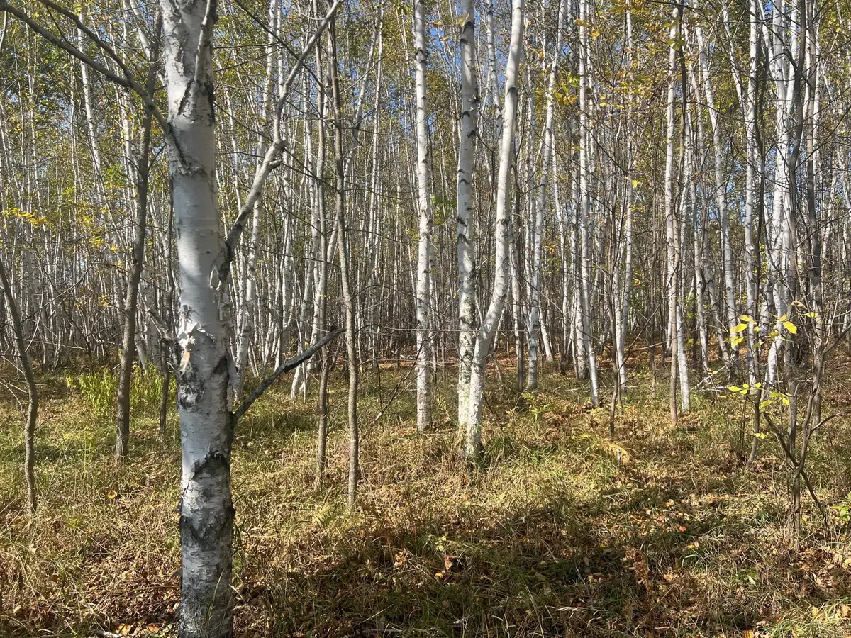 00000 County Hwy 61, Hinckley, MN 55037 - Image #1