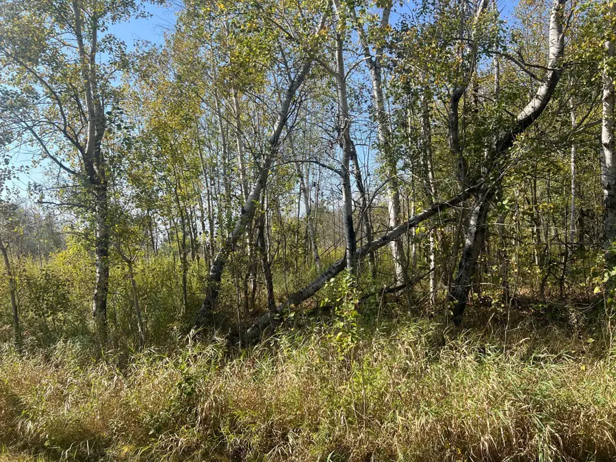 00000 County Hwy 61, Hinckley, MN 55037 - Image #3