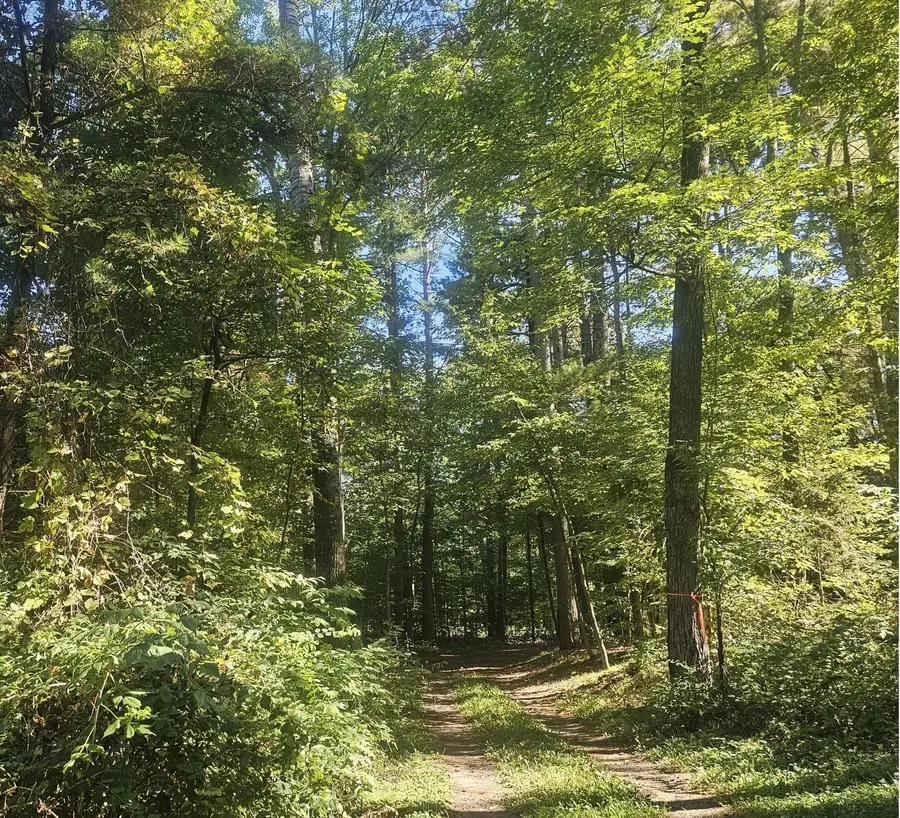 XX E Bass Lake Road, Webster, WI 54893 - Image #3