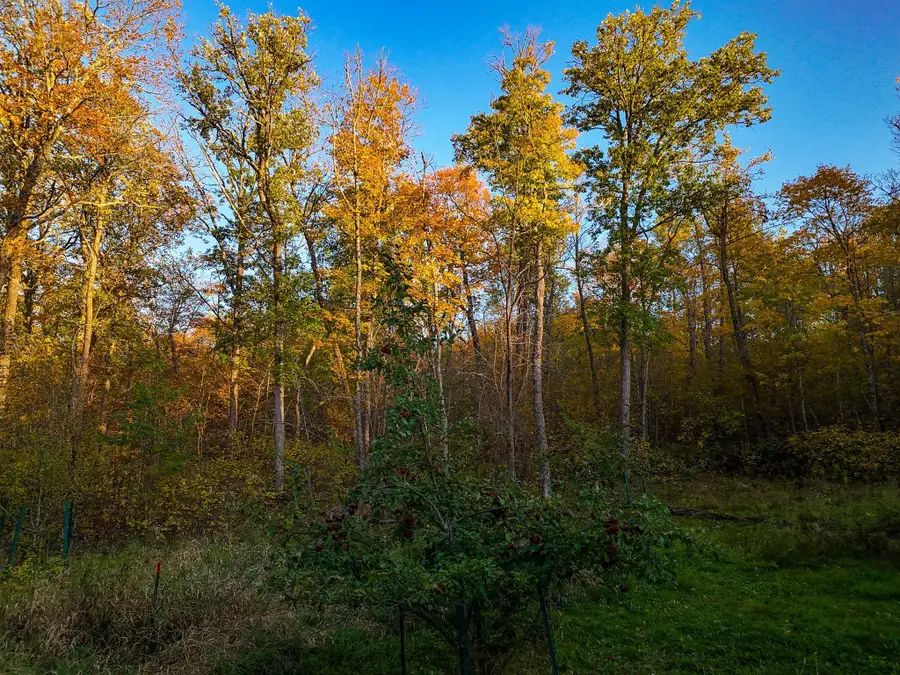 3108 Blackbird Road Ne, Cass Lake, MN 56633 - Image #2