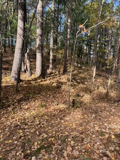 1380 Little John Road, Nisswa, MN 56468 - Image #3