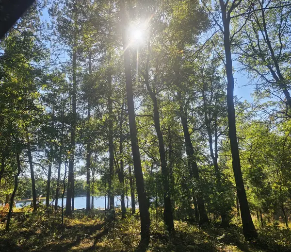 xxx County Road H Road, Danbury, WI 54830