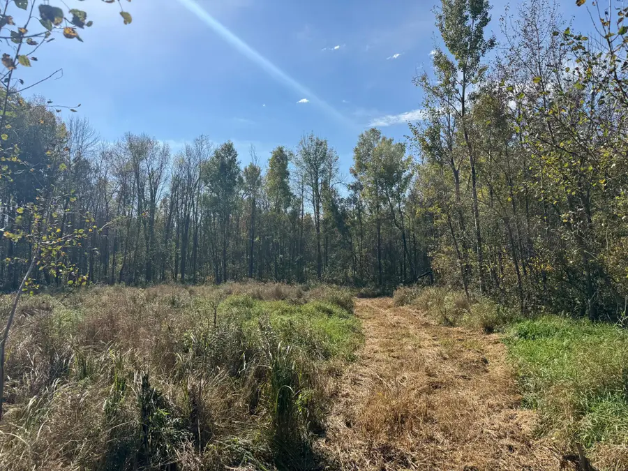 1xxx 460th Lane, Palisade, MN 56469 - Image #3