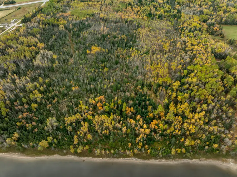 XXX Highway 11, International Falls, MN 56649 - Image #3