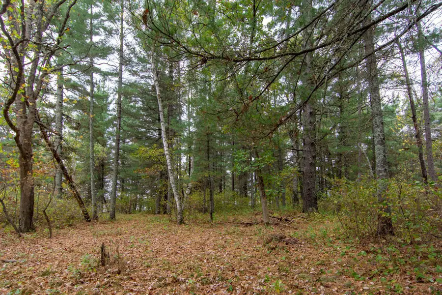TBD Harriet Lake Trail Nw, Backus, MN 56435 - Image #2