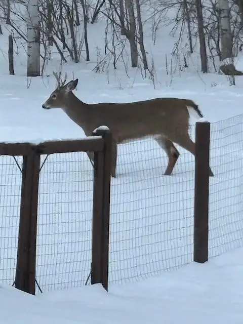 765 Hilltop Lane, Saint Croix Falls, WI 54024