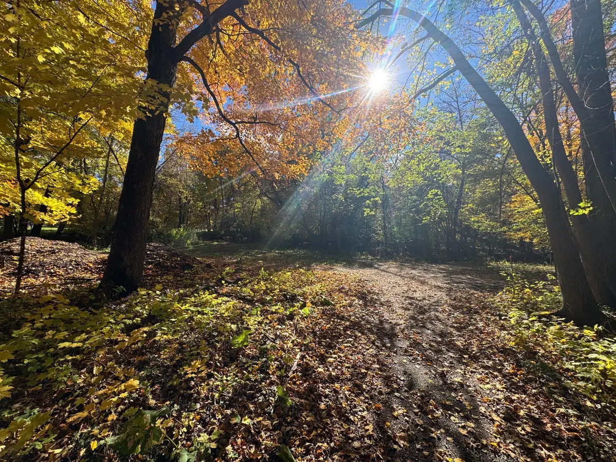 TBD Selnes Rd, Glenwood, MN 56334 - Image #1