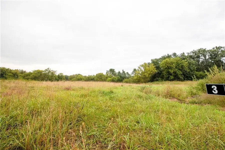 Lot 3 Mertinke Landing, Eleva, WI 54738 - Image #2