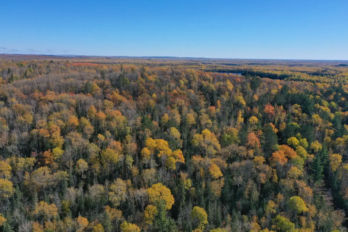 TBD French Rd., Chisholm, MN 55719 - #1
