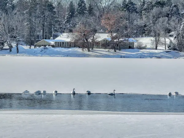 4 W Shore Road, Saint Paul, MN 55127