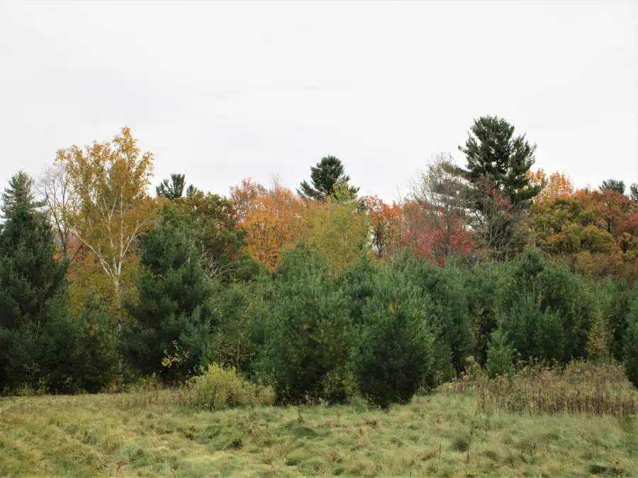 Parcel 2 90th Street, Frederic, WI 54837 - #2