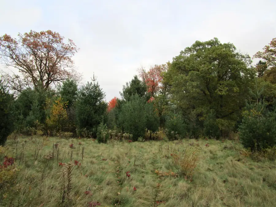 Parcel 2 90th Street, Frederic, WI 54837 - #3