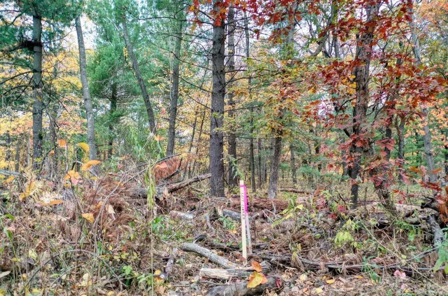 TBD 241st., Stacy, MN 55079 - #2