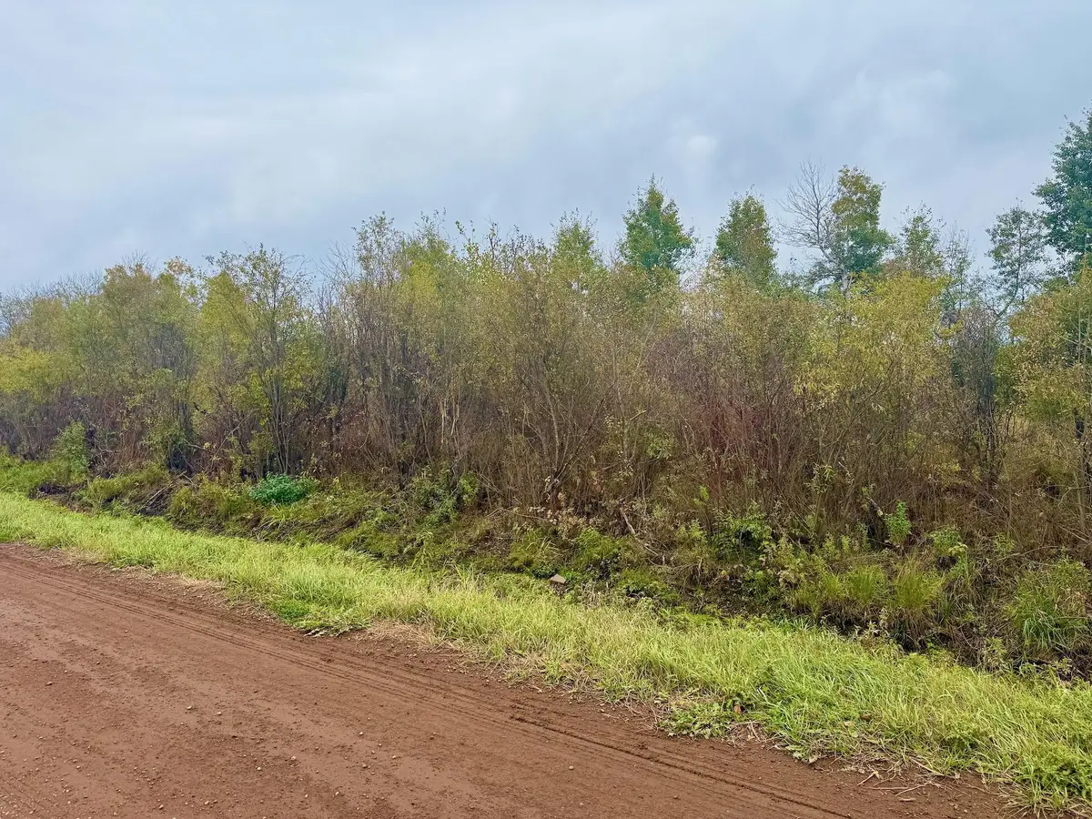 TBD 390th Street, Aitkin, MN 56431 - Image #1