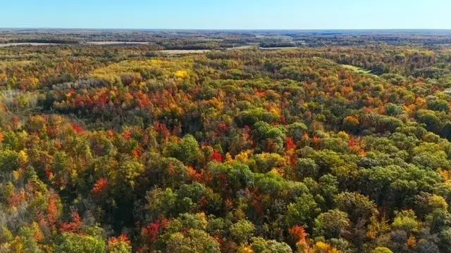 TBD Skyview Street, Brook Park, MN 55007 - #2