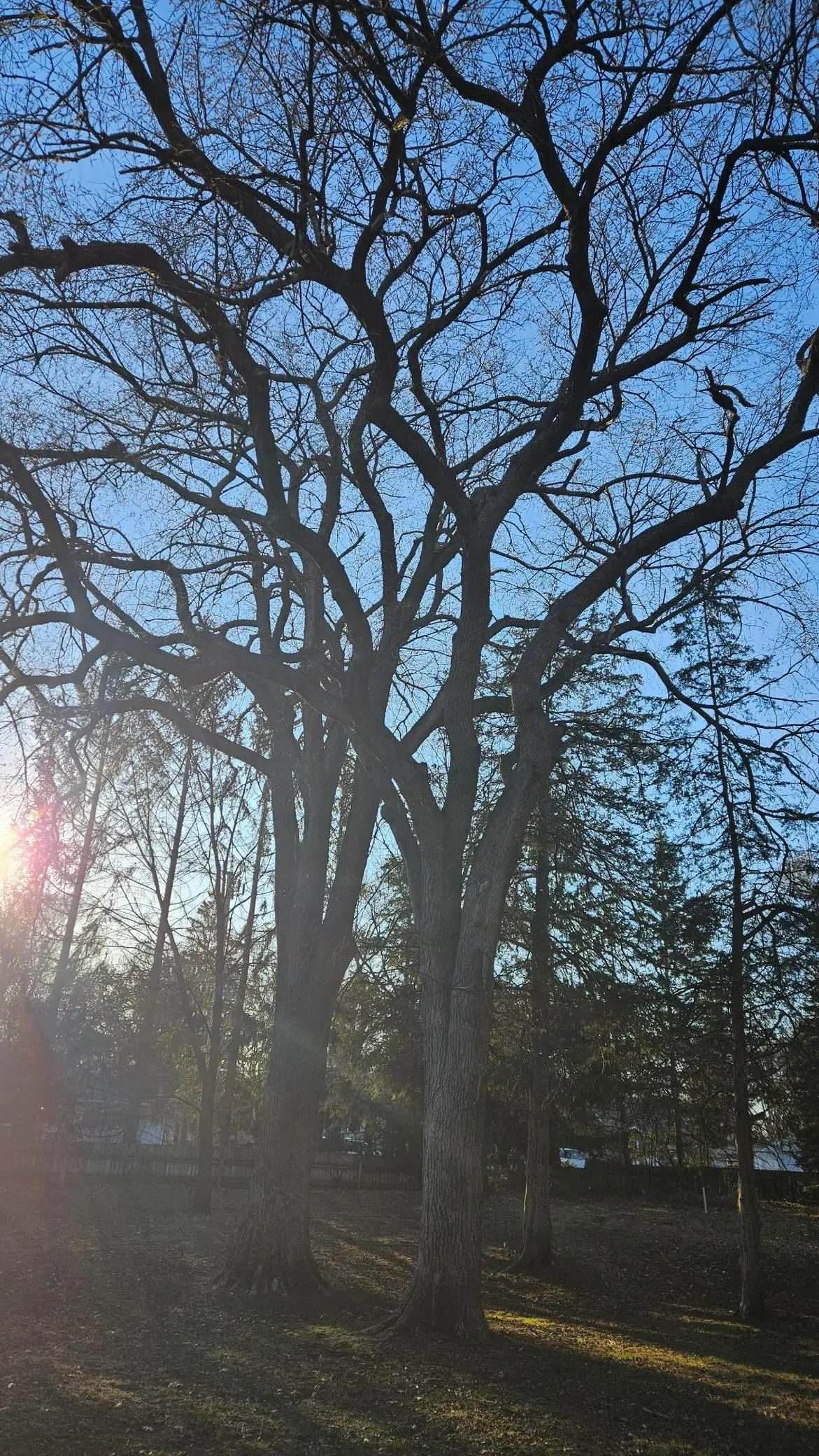 5920 Hodgson Road, Saint Paul, MN 55126 - #1