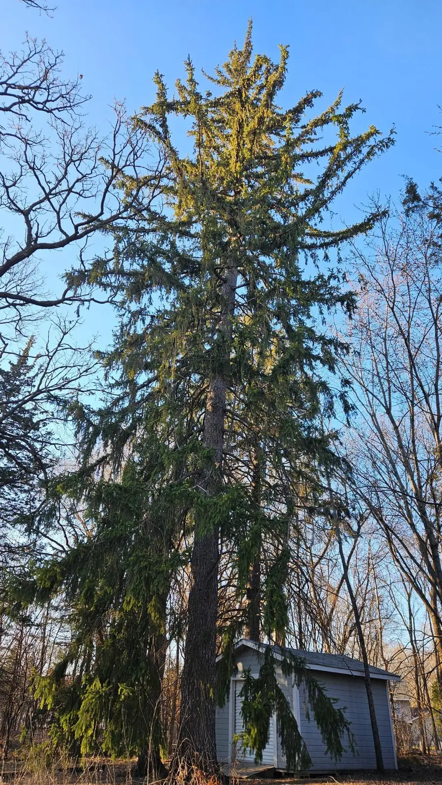 5920 Hodgson Road, Saint Paul, MN 55126 - #3