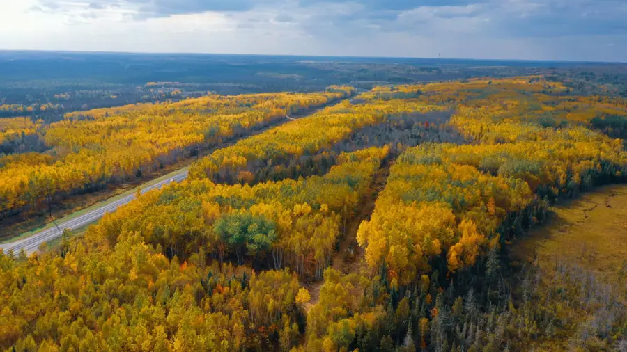 Parcel 8 TBD Hwy 115, Tower, MN 55790 - Image #2