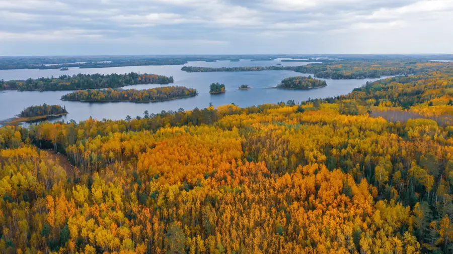 Parcel G TBD Frazer Bay Road, Cook, MN 55723 - Image #3