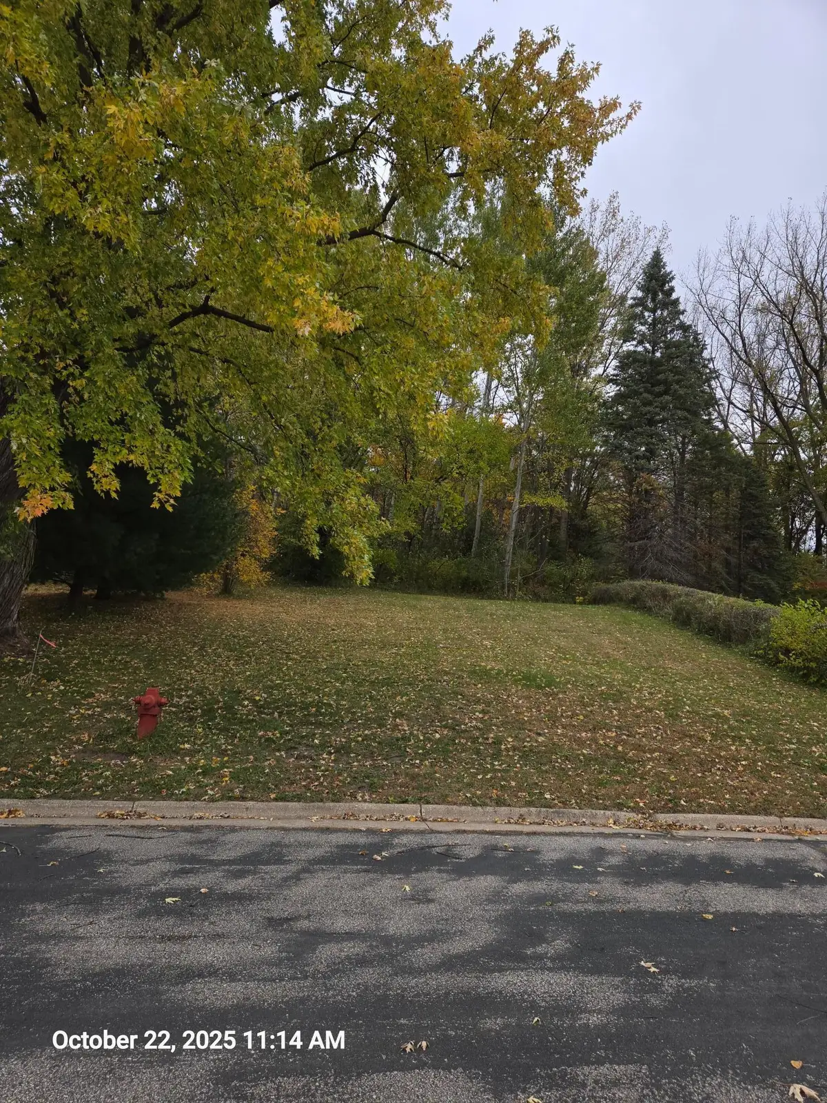 315 Oak Drive Nw, Preston, MN 55965 - #1