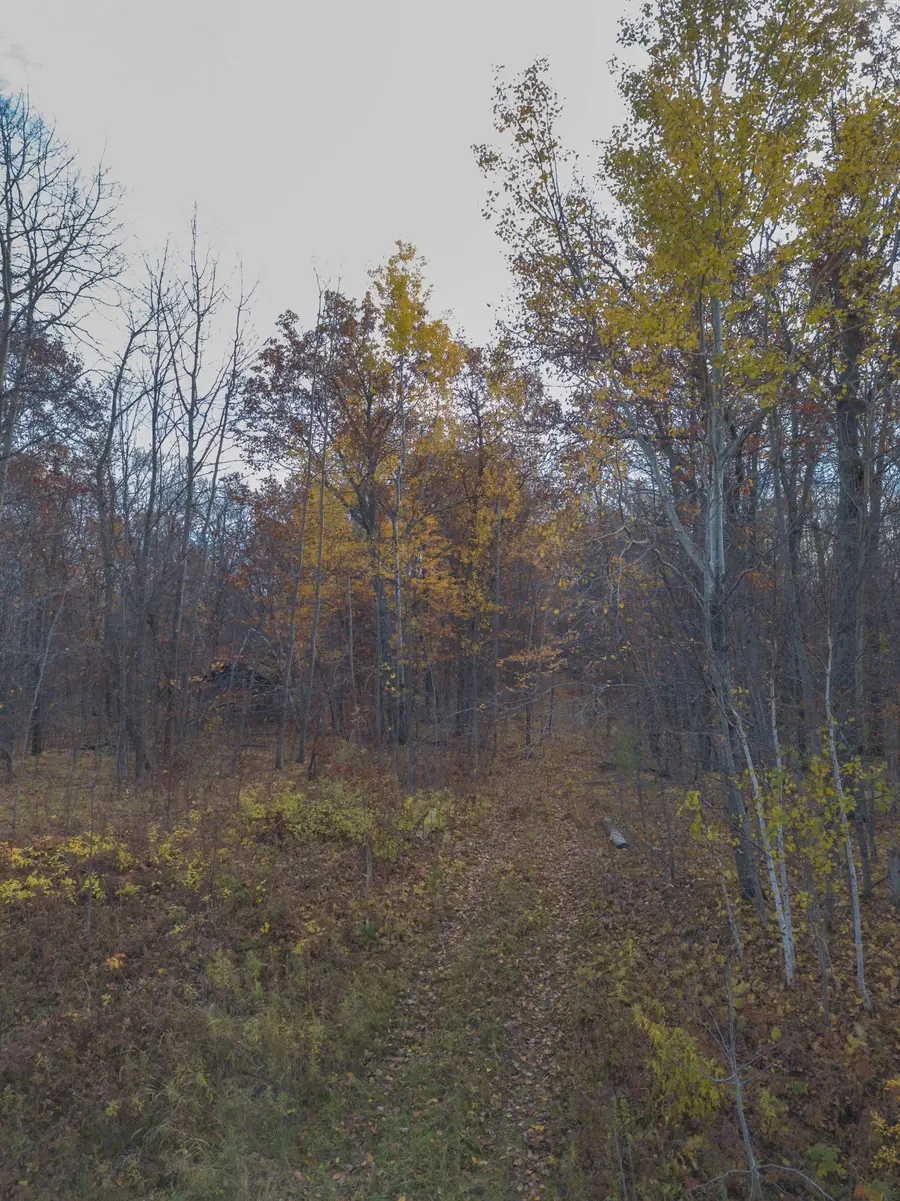 26259 County Road 26, Garrison, MN 56450 - Image #3