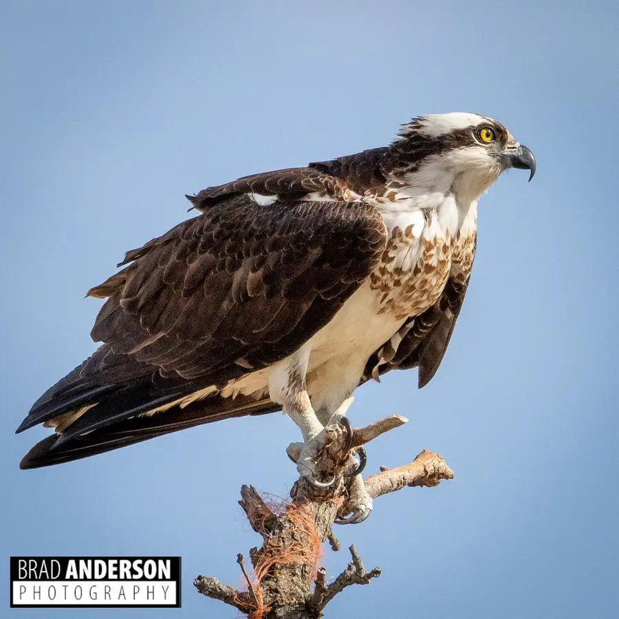 301xx 513th Avenue, Ottertail, MN 56571 - Image #3