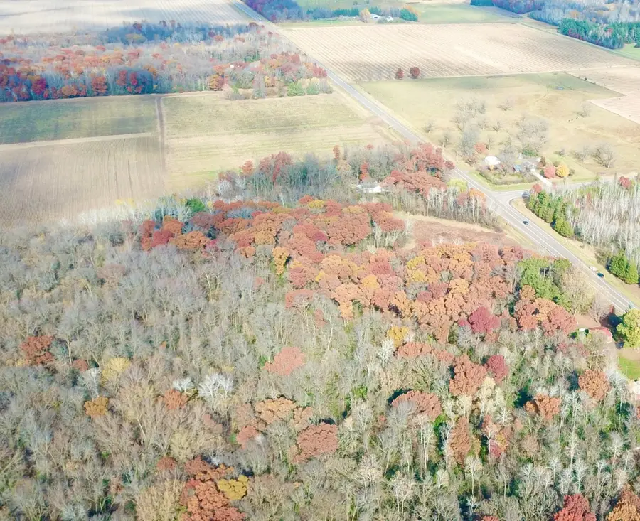 TBDx 165th Avenue Se, Santiago, MN 55319 - Image #2