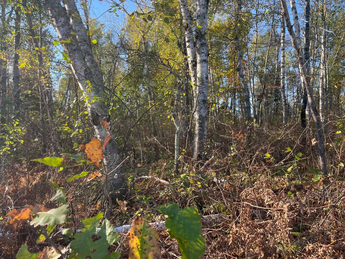 TBD-2 Oak Leaf Road, Kerrick, MN 55756 - Image #1